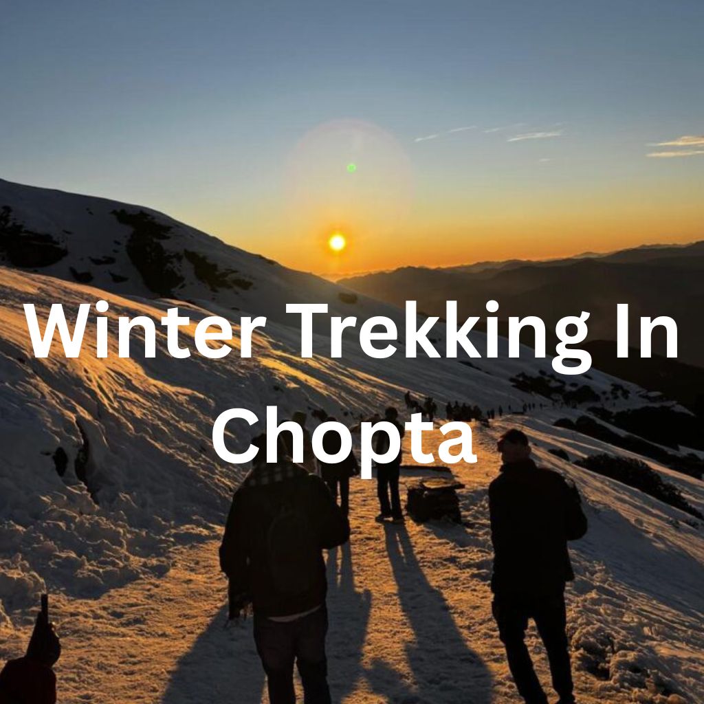 Winter Trekking in Chopta – Snow-Clad Trails to Tungnath & Chandrashila